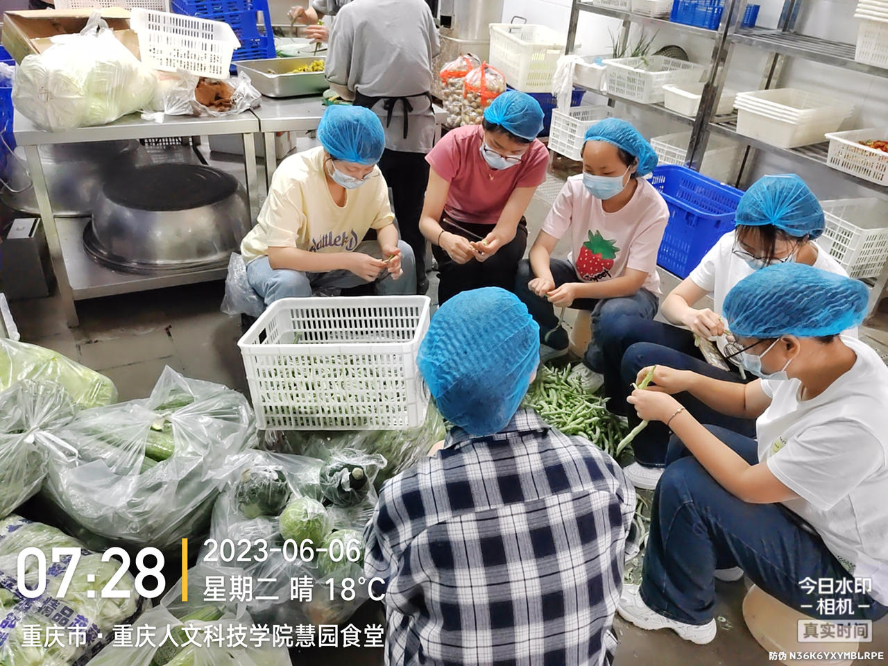三全育人之劳动育人活动